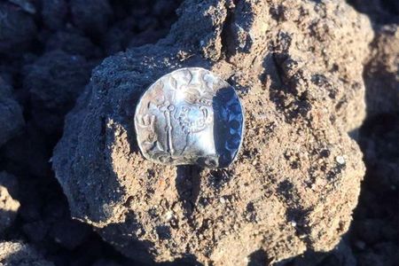 17-year-old Reece Pickering found one of just three surviving silver pennies dated to Harold II's reign.