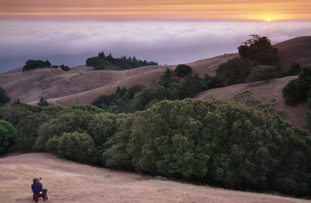 Photographing the fog, Golden Gate National Recreation Area. (Frans Lanting/Corbis)