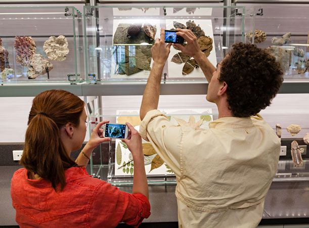 Museum specimens can be digitized and saved for future projects in a students digital field guides.
