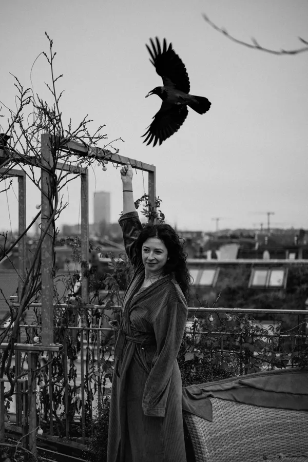 Ana Feeding Crows / Messenger Bird thumbnail