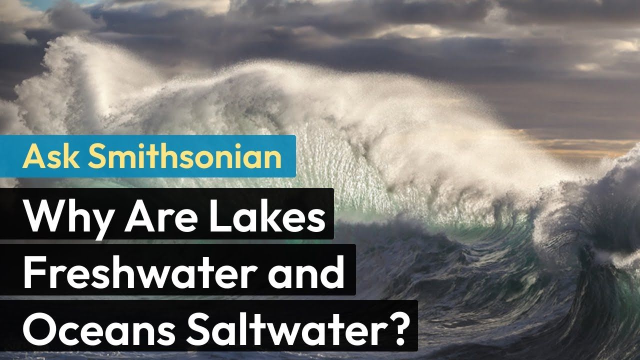 Preview thumbnail for Ask Smithsonian: Why Are Lakes Freshwater and Oceans Saltwater?