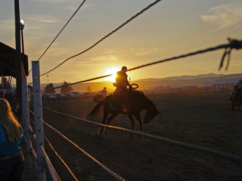 Sunset Rodeo at the Bear Lake County Fair Smithsonian Photo Contest
