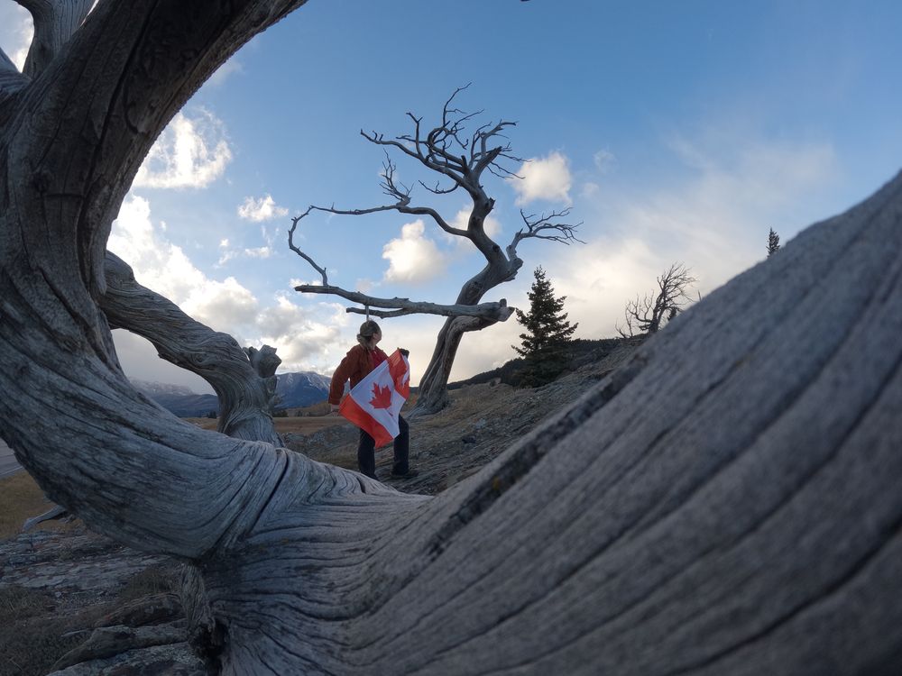 The Tenacious Tree | Smithsonian Photo Contest | Smithsonian Magazine