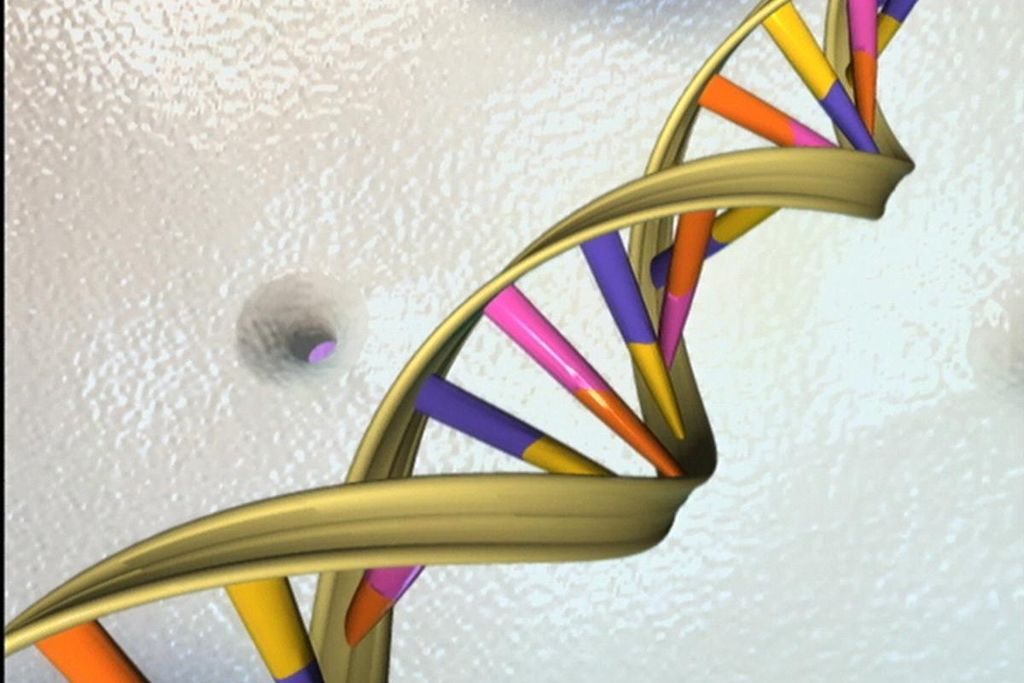 Double Helix