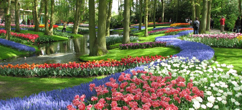  More spring blossoms at Keukenhof Gardens in the Netherlands. 