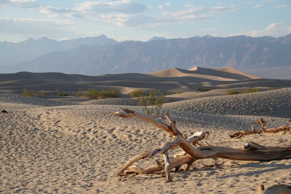 Footprints across Death Valley's Mesquite Flat Sand Dunes thumbnail
