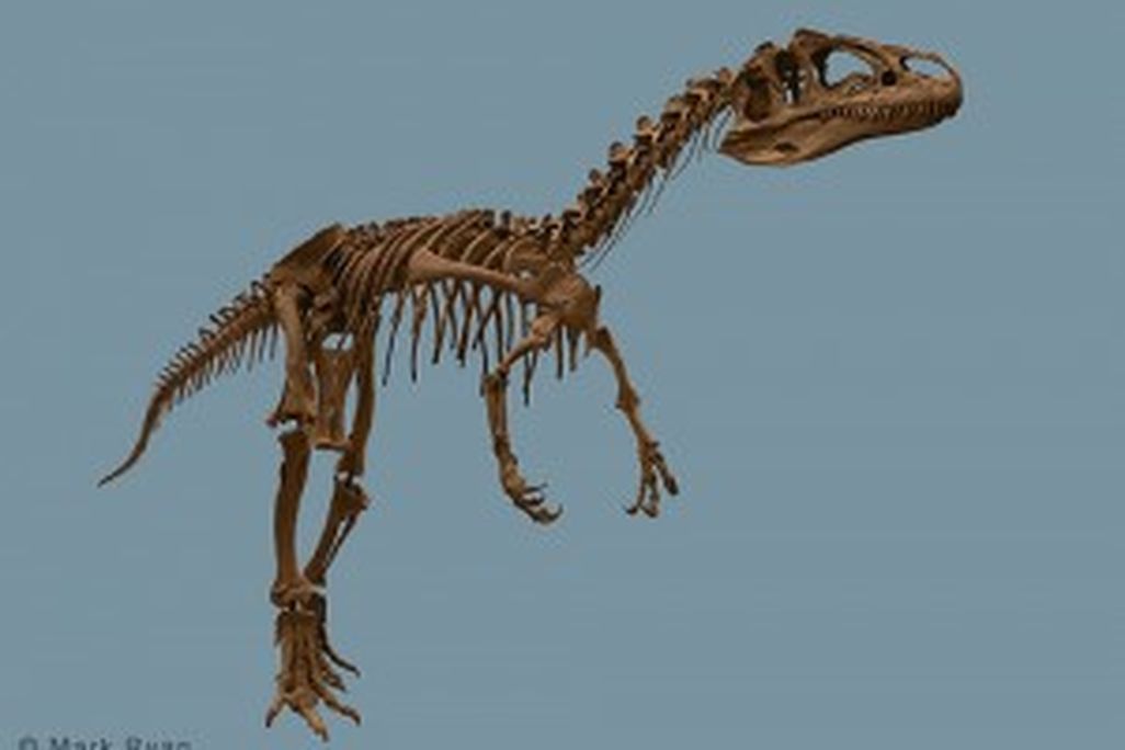 20110520083136big-al-allosaurus-laramie-300x212.jpg