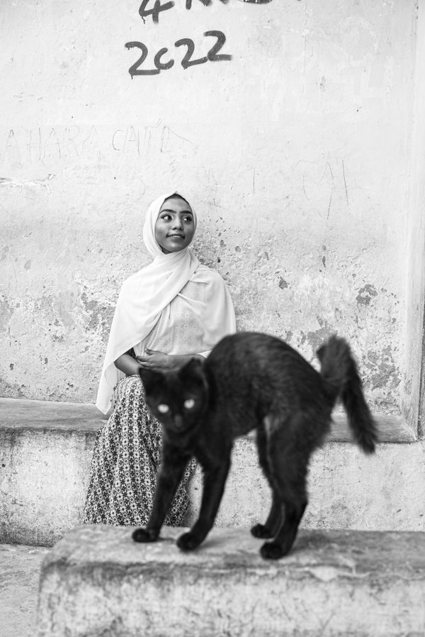 Young Muslim Girl and Her Angry Cat thumbnail