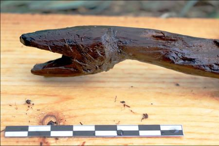 A close-up image of the snake carving. 