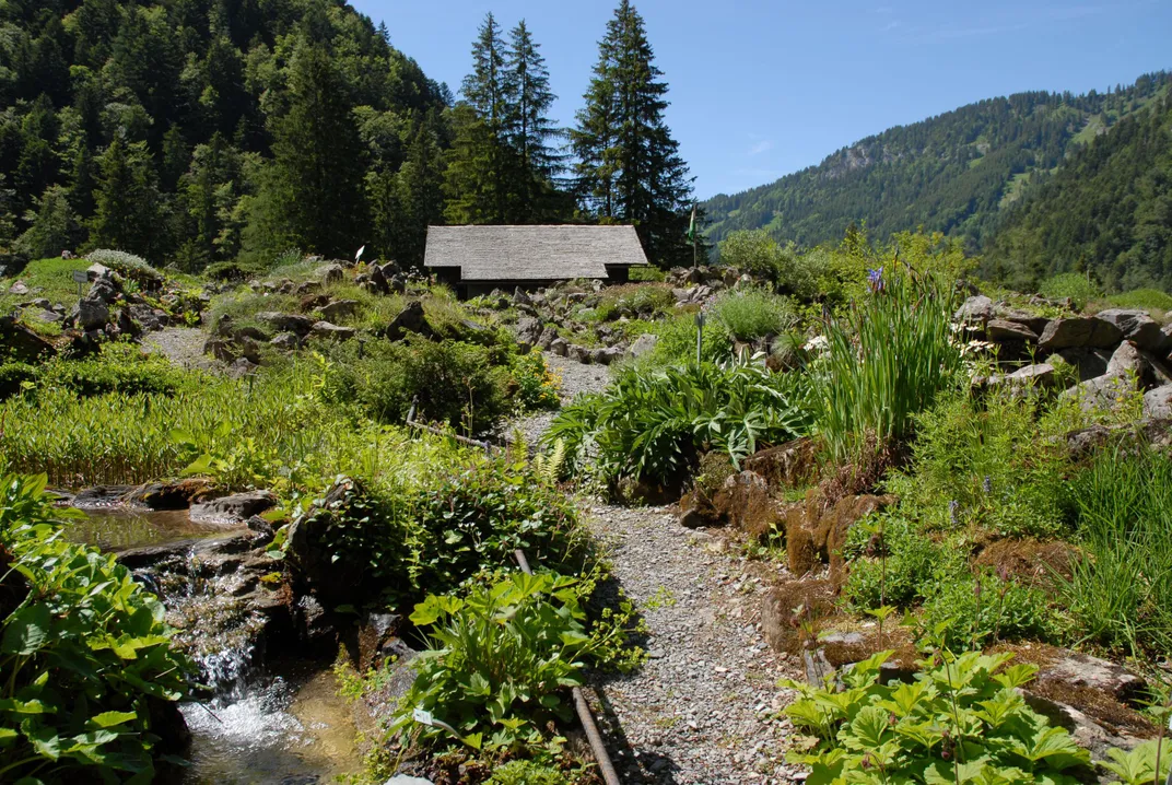 La Tomasia Alpine Garden, Switzerland