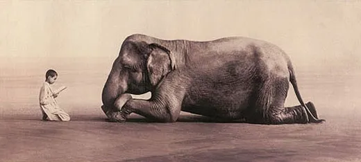 Ashes and 　Gregory Colbert　人間と動物との共生 Ashes and Snow Gregory Colbert 人間と動物との共生 Ashes and