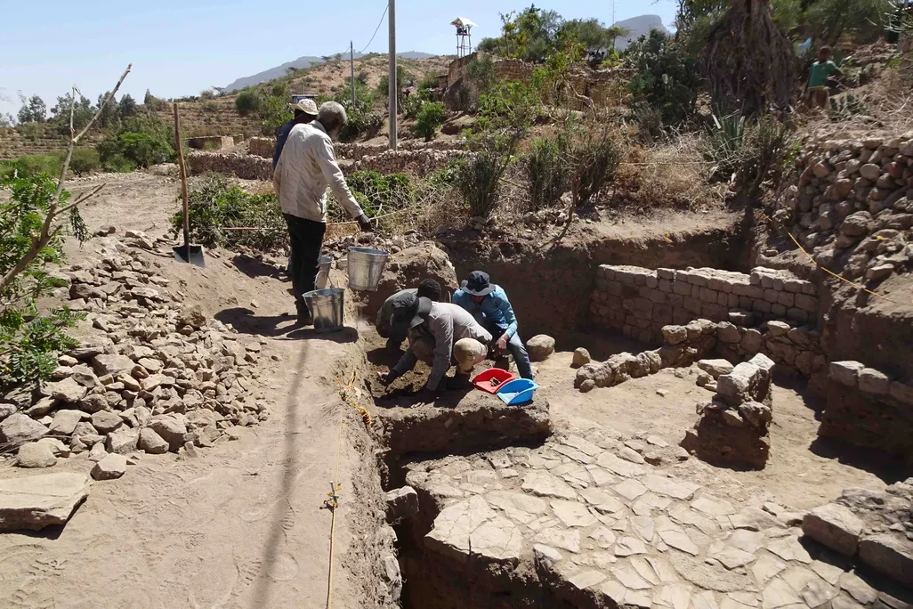 Excavations 5 (LR).jpg