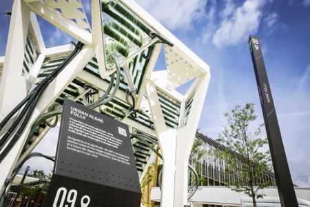 EcoLogicStudio's 430-square-foot gazebo, called the Urban Algae Folly, is on display at the Expo 2015 world's fair in Milan.