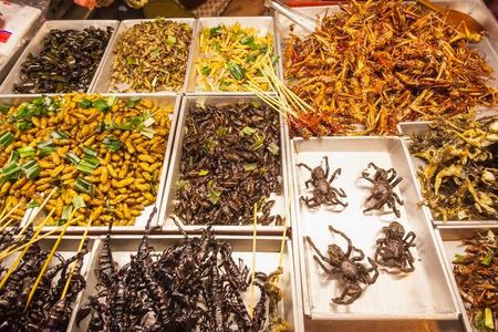 Fried insects, anyone?