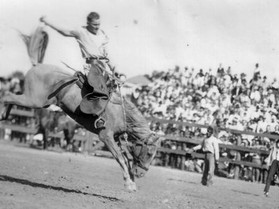 A convict hangs on to a bucking bronco c. 1940