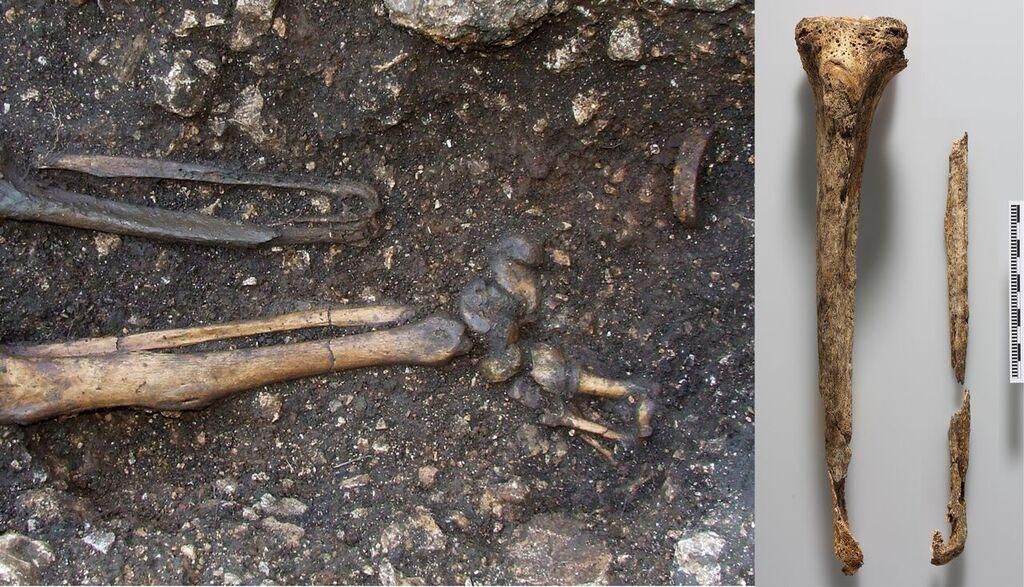 1,500-Year-Old Prosthetic Foot Discovered in Austria