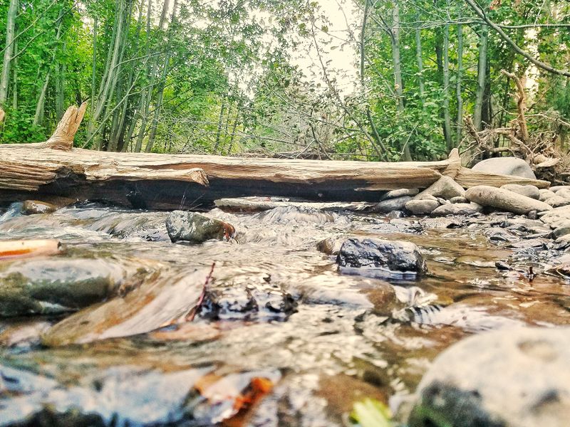 Burnt River Smithsonian Photo Contest Smithsonian Magazine