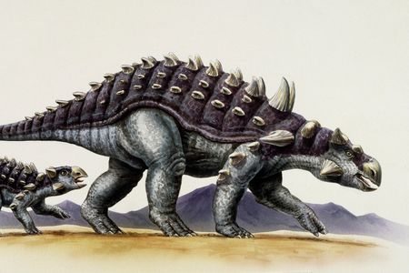 Illustration of an adult and juvenile ankylosaur. 