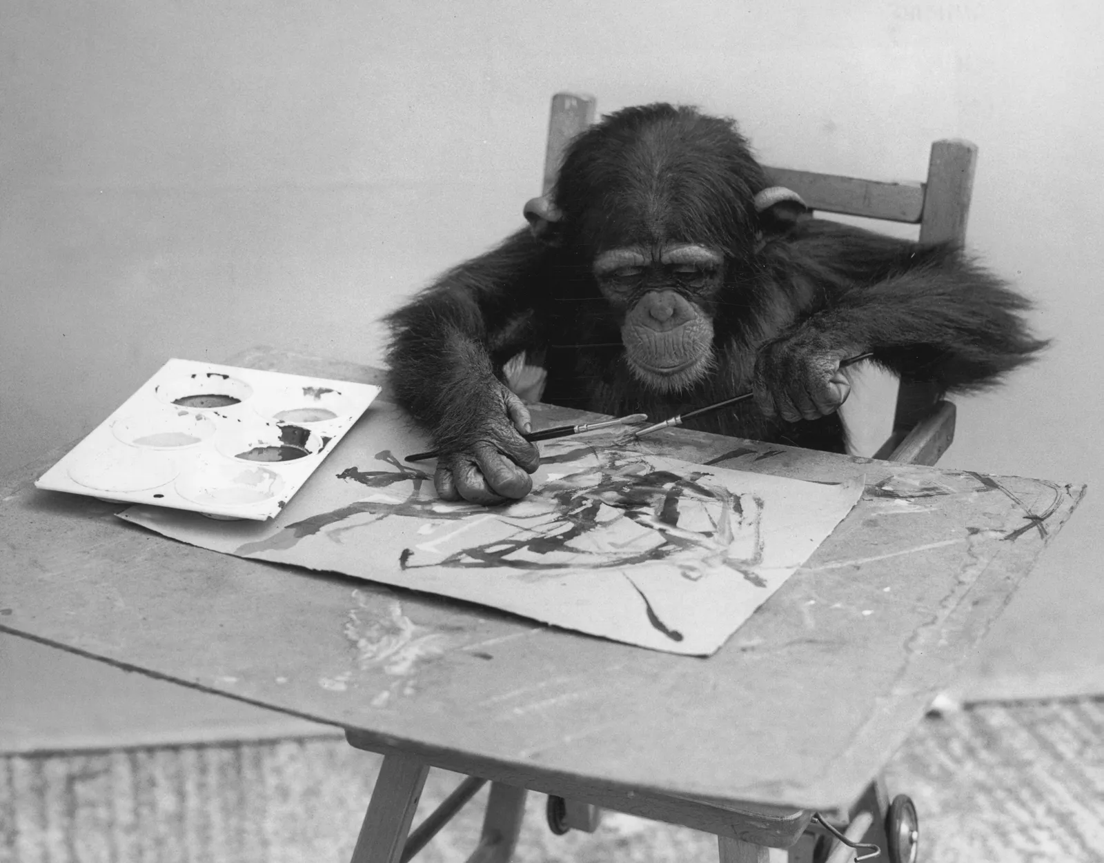 Искусство шимпанзе Конго