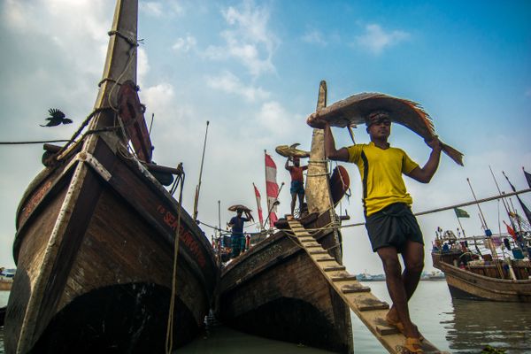 A beautiful scene of unloading fish from a boat at the fishery ghat thumbnail