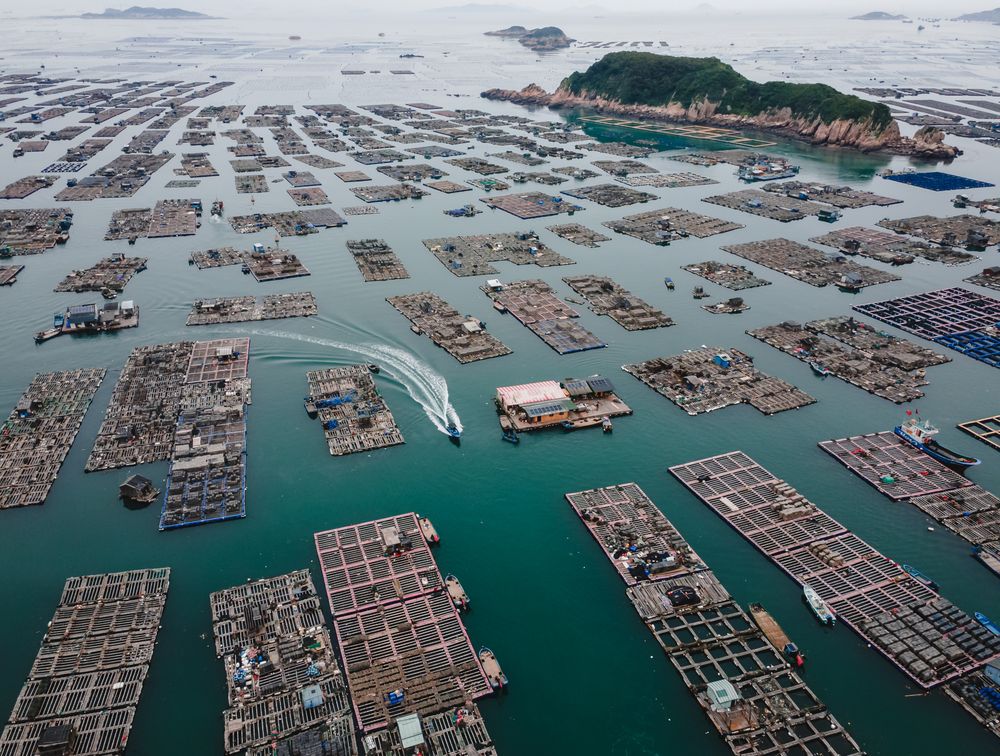 The Tanka are a traditional boat-dwelling ethnic group who have lived off the coast of Fujian for generations, sustaining themselves through fishing and aquaculture. Their floating villages are renowned for a distinctive way of life, with homes, schools, and shops all on a network of interconnected rafts.