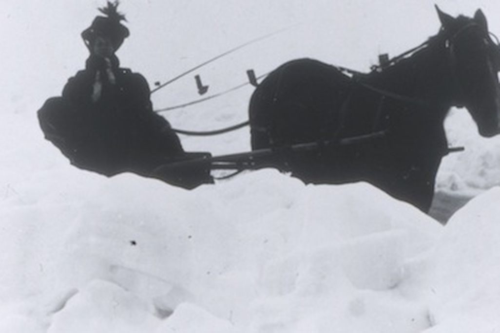 Let your horse sleep in today. Smithsonian museums don’t open until noon due to weather.