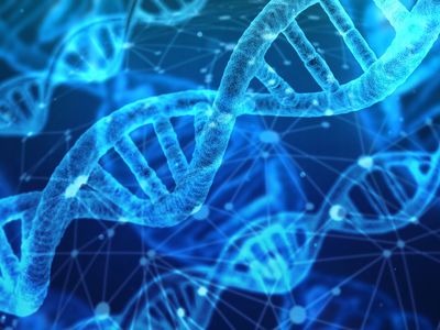 Ancient DNA reveals Indo-European speakers came from a region where multiple populations mixed and migrated over time.