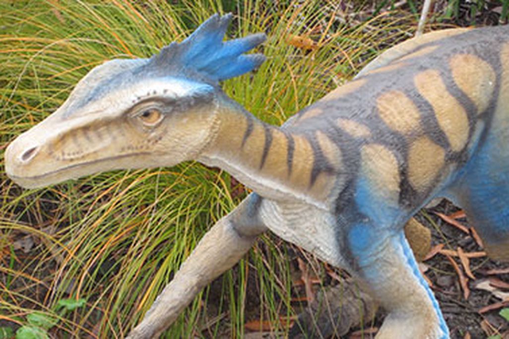 A feathery Troodon on the Museum of Life and Science Dinosaur Trail, in Durham, North Carolina.