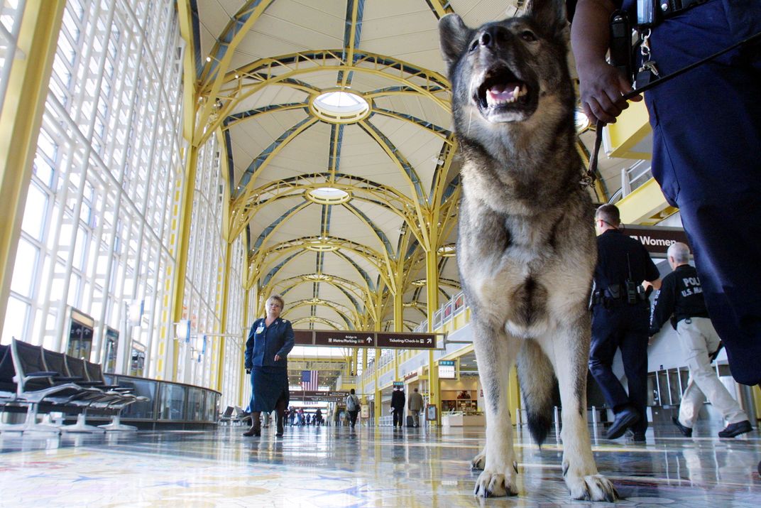 Bomb sniffing dog at National Airport