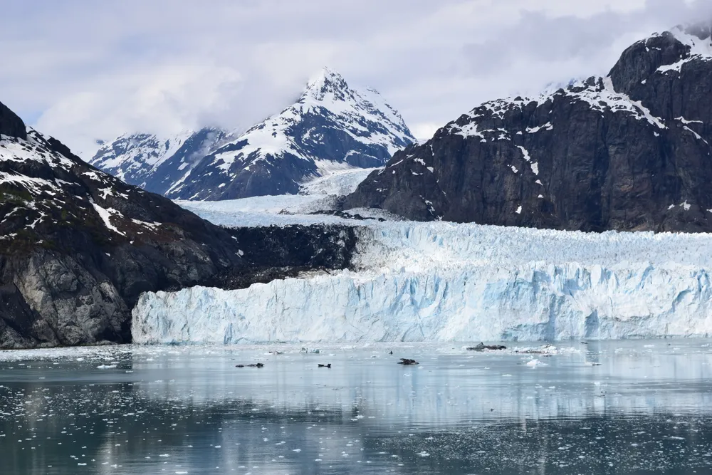 I took this image from a ship sailing through Glacier Bay National Park in Alaska. The ship stopped so we could admire the untouched beauty of this glacier. The stillness, silence, and serenity of the Alaskan terrain was palpable.