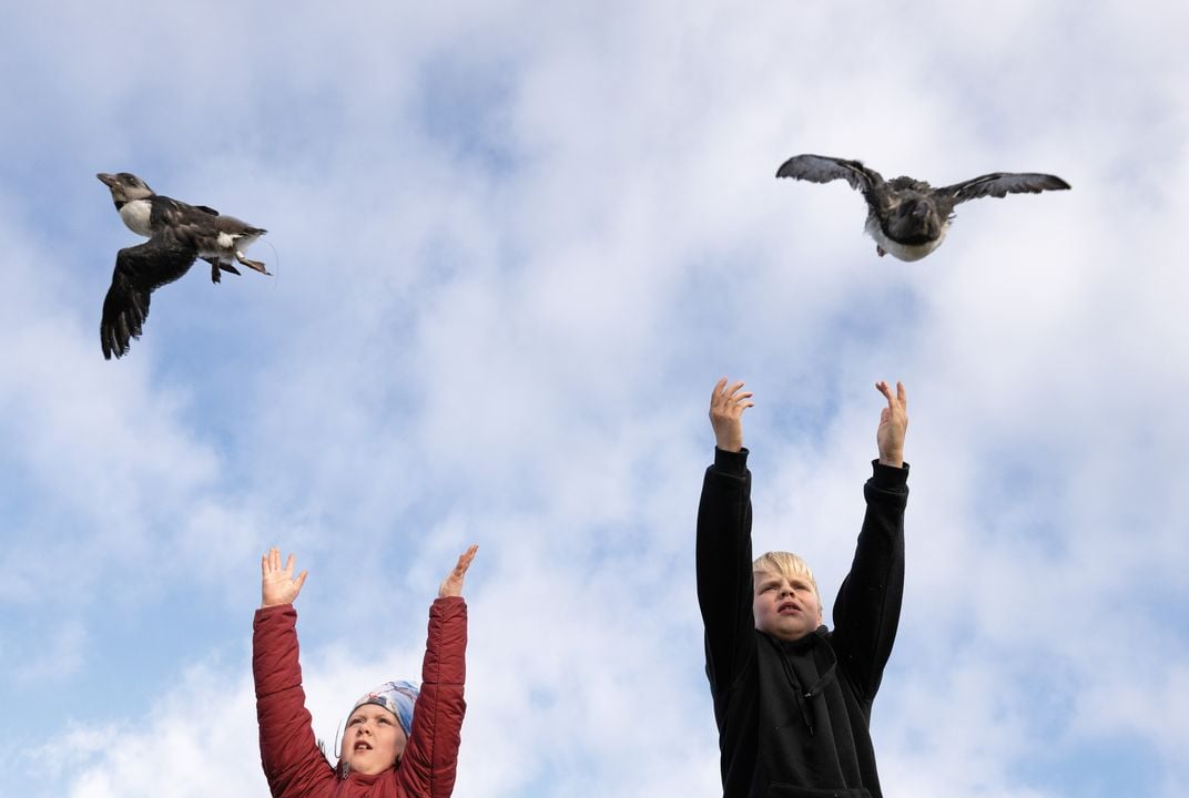 LATE RALLY COMES UP JUST SHORT FOR FLOCK