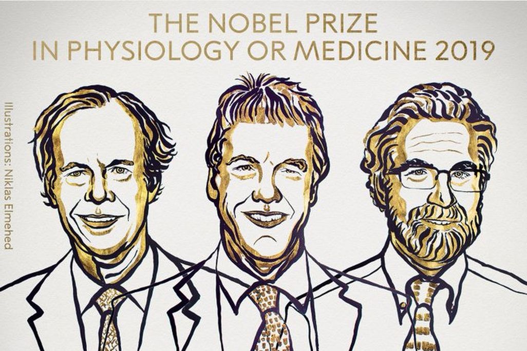 Nobel Medicine With Labels