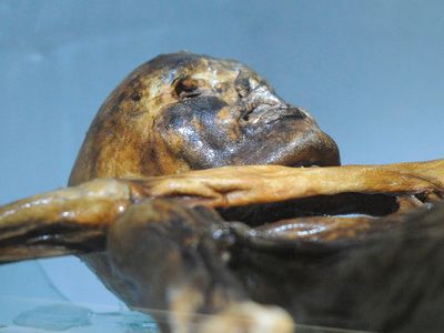 The naturally mummified body of Ötzi is seen in a cooling chamber at the South Tyrol Museum of Archaeology in Bolzano.