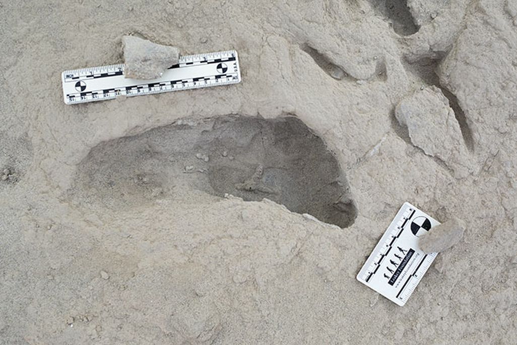 Footprint imprint in sandy dirt