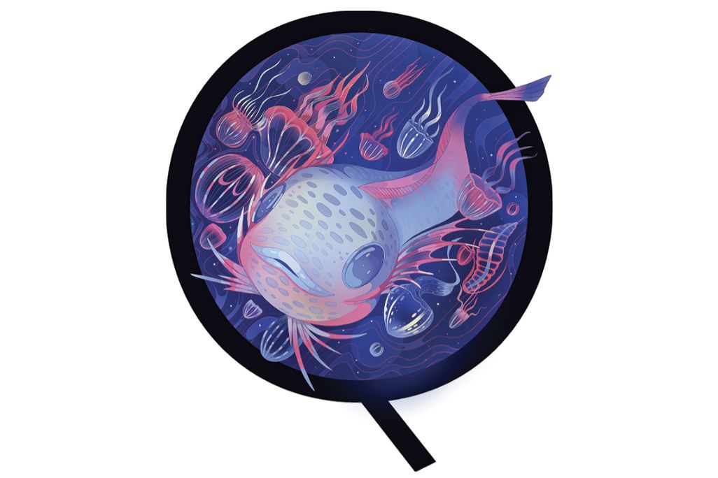 Sea creature illustration