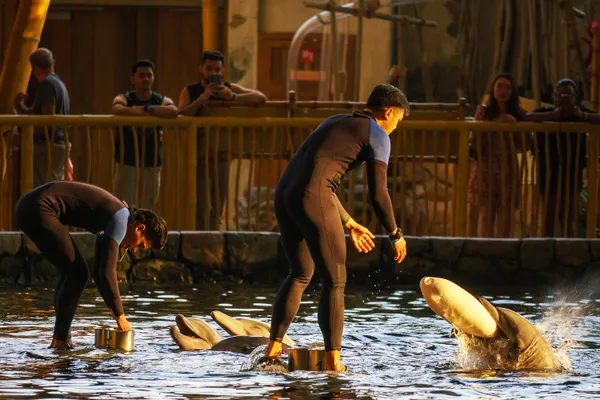 Harmony in Motion thumbnail