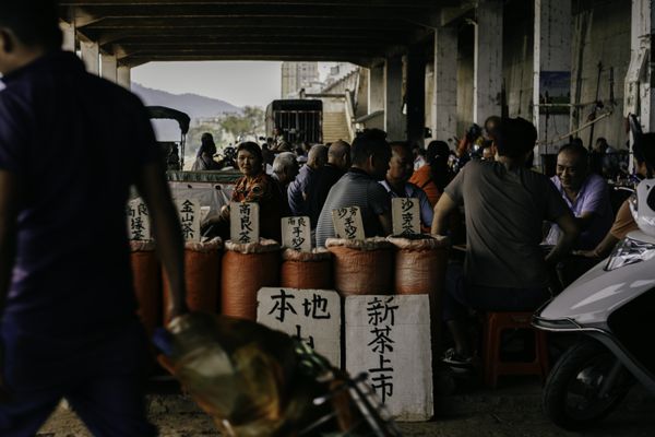 Farmer's market under the overpass thumbnail