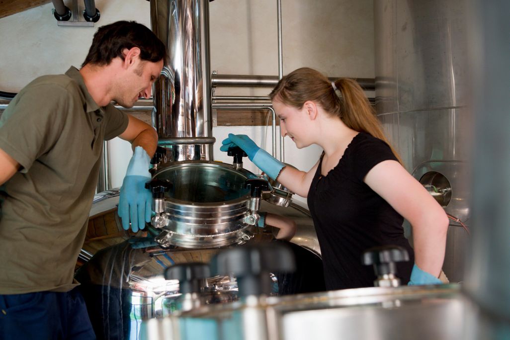 beer brewing
