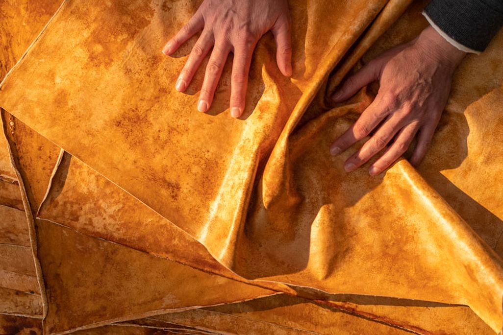 An image of human hands showcasing leather made from mushrooms