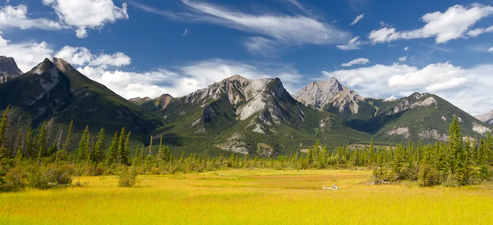  Jasper National Park 