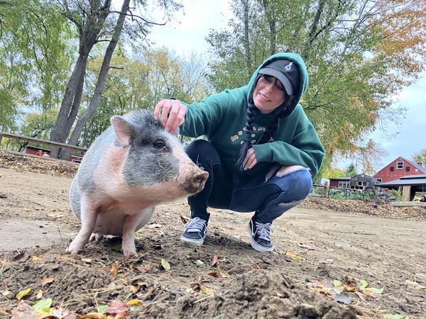 Pig Farm Bliss thumbnail