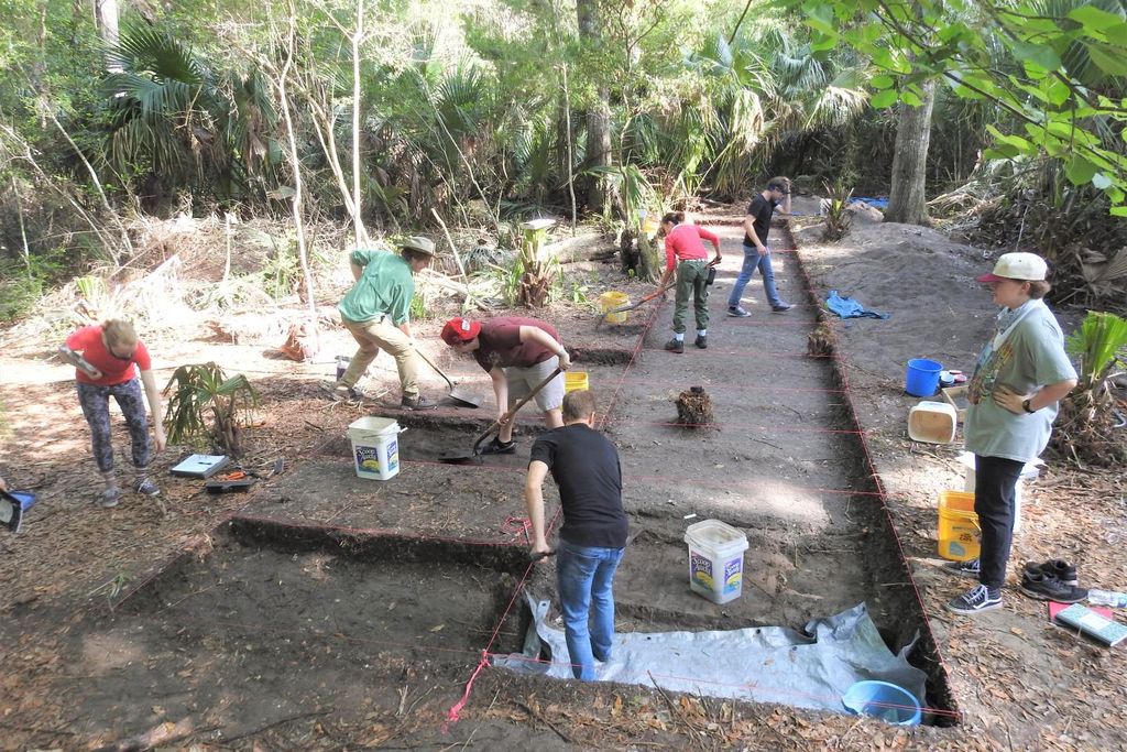 Archaeologists Inspect the Site