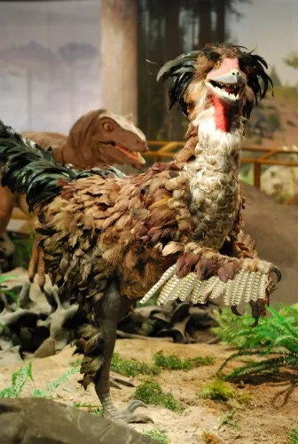 A truly terrible Deinonychus, on display at the Las Vegas Natural History Museum.