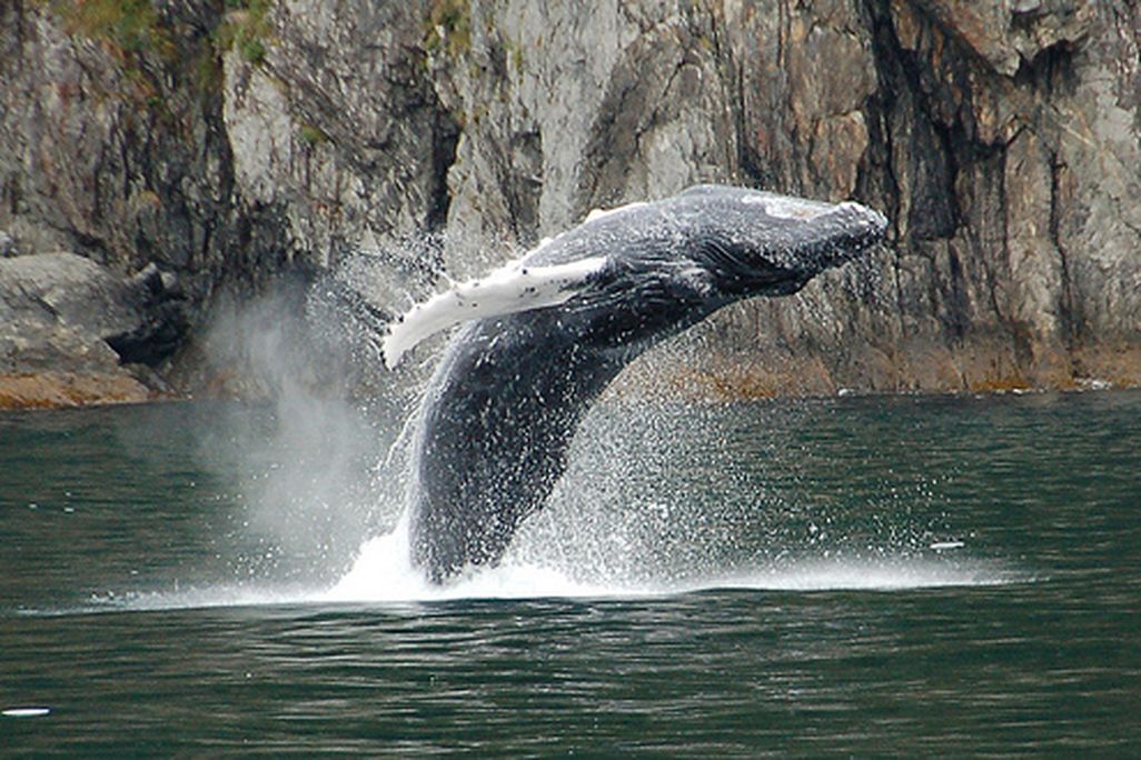 201105201024453940510392_e069b85a9b.jpg