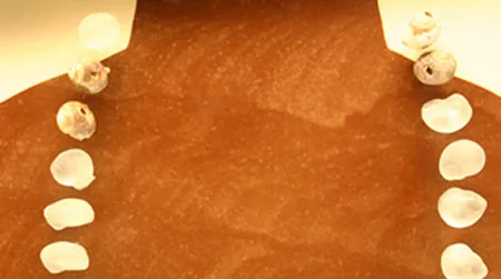 Perhaps necklaces of shell beads were among the earliest gifts our ancestors gave each other (as seen at the National Museum of Natural History).