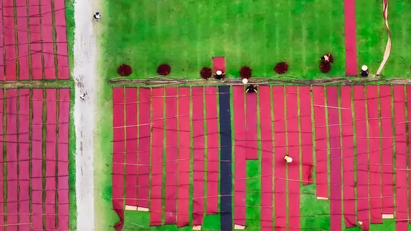 Gauze Drying Ground thumbnail