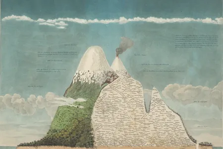 Scientific illustrations, Humboldt once wrote, should “speak to the senses without fatiguing the mind.” His famous illustration of Chimborazo volcano in Ecuador shows plant species living at different elevations.