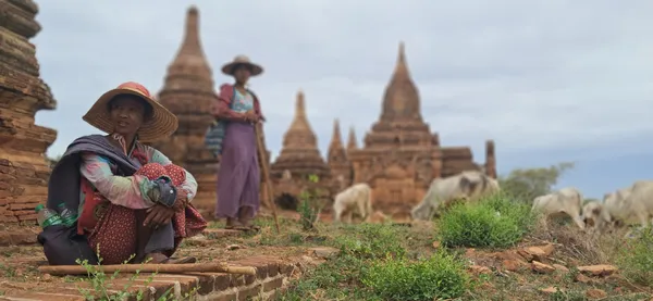Goat herders of Millenial Bagan thumbnail