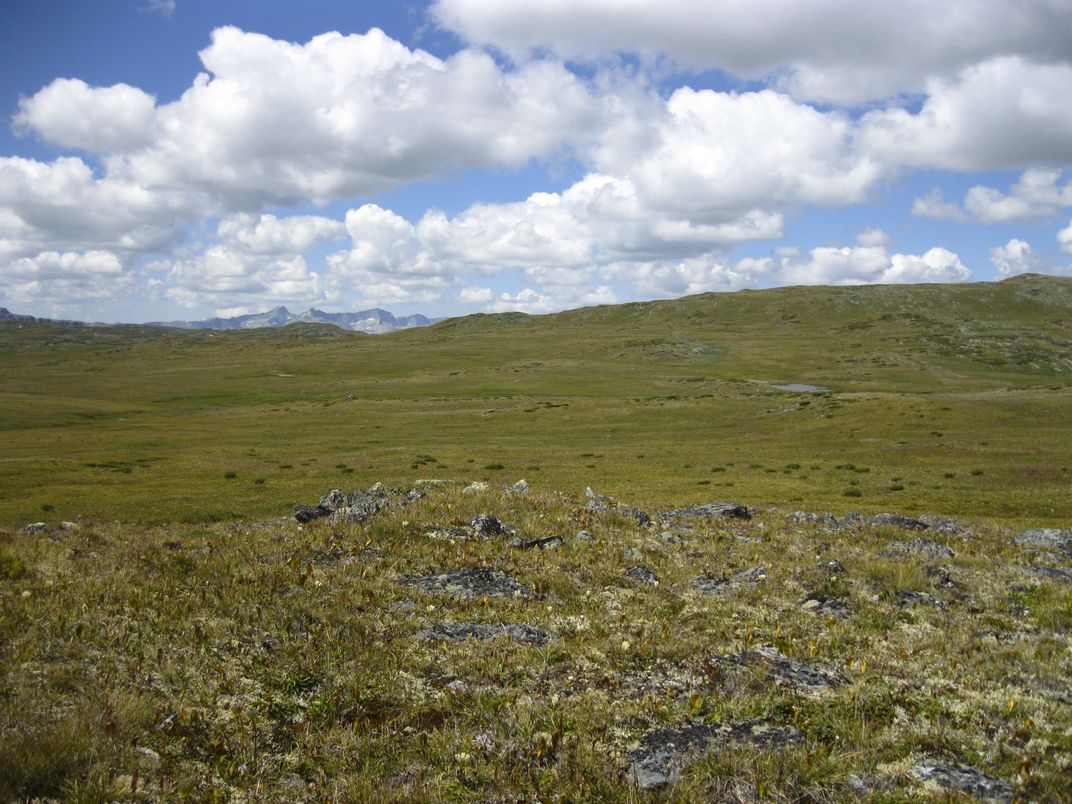 The vastness of the steppes | Smithsonian Photo Contest | Smithsonian ...