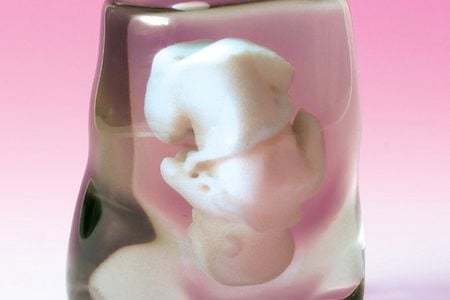 Clear rosin represents the mother’s tissue, while the fetus is suspended in white.